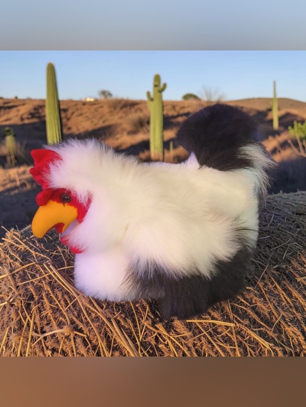 Plush White & Black Chicken Hat